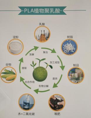 PP+小麥秸稈料 餐具專用料 食品級(jí)生物基復(fù)合材料